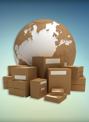 Capabilities: Inventory Management-Distribution